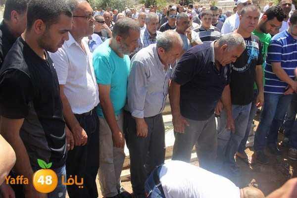 jaanzaa 0501 (27).JPG